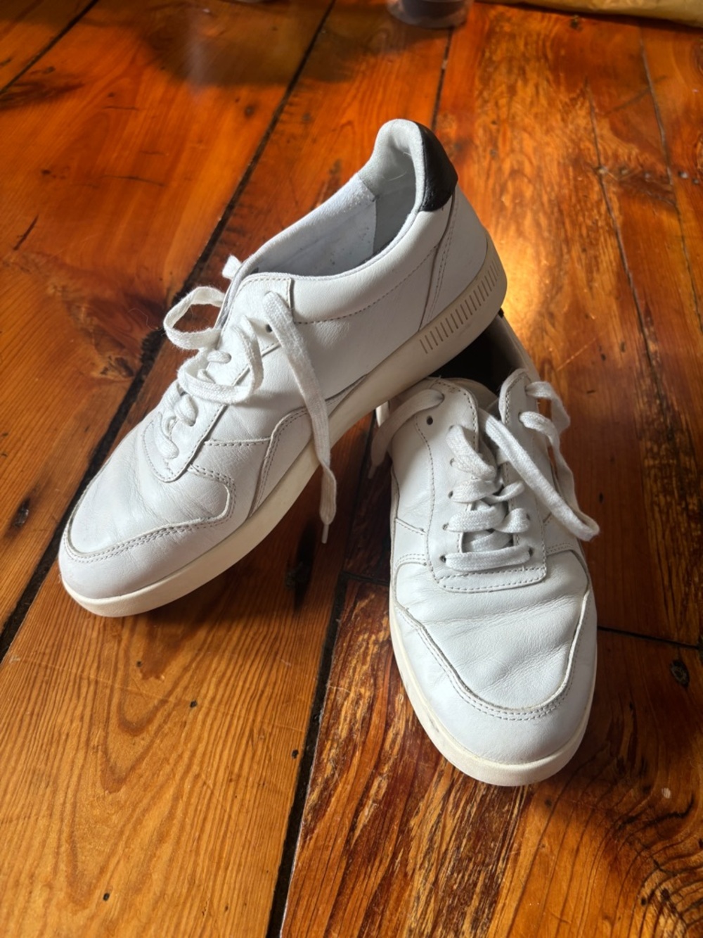 Everlane Tread Court Sneaker-White Leather Low-Top Sneakers with Black Heel Tab
